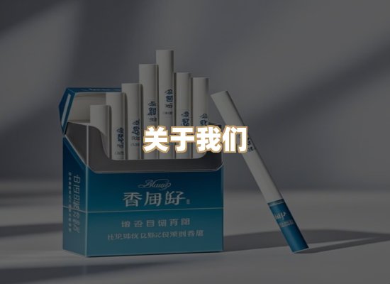 关于蓝帝网